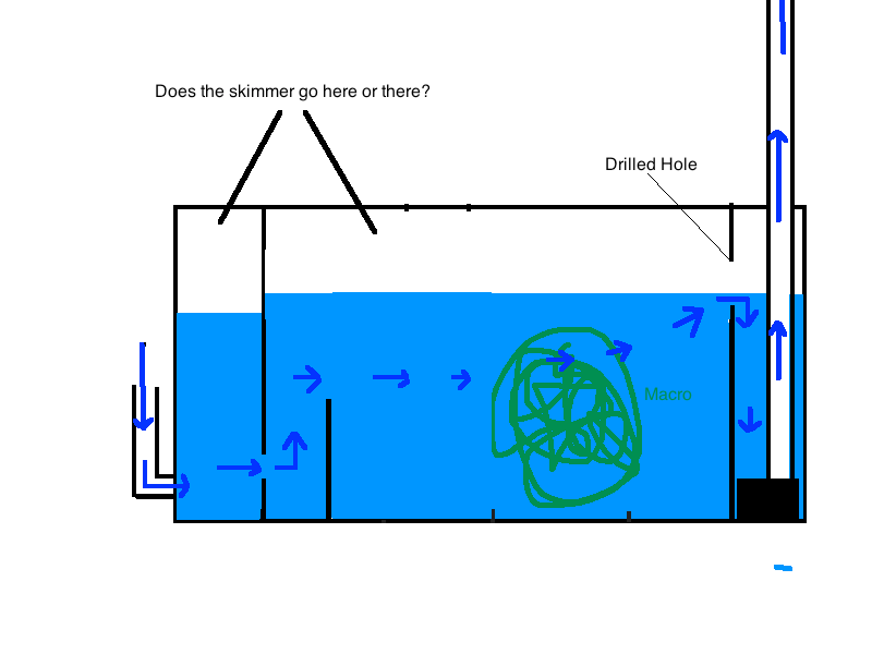 New Sump/Refugium...How does it work? | Saltwaterfish.com Forums for