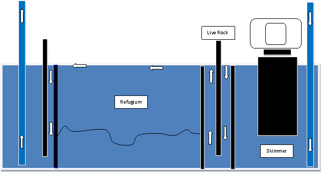 What is the best diy sump/refugium design? Saltwaterfish Forum