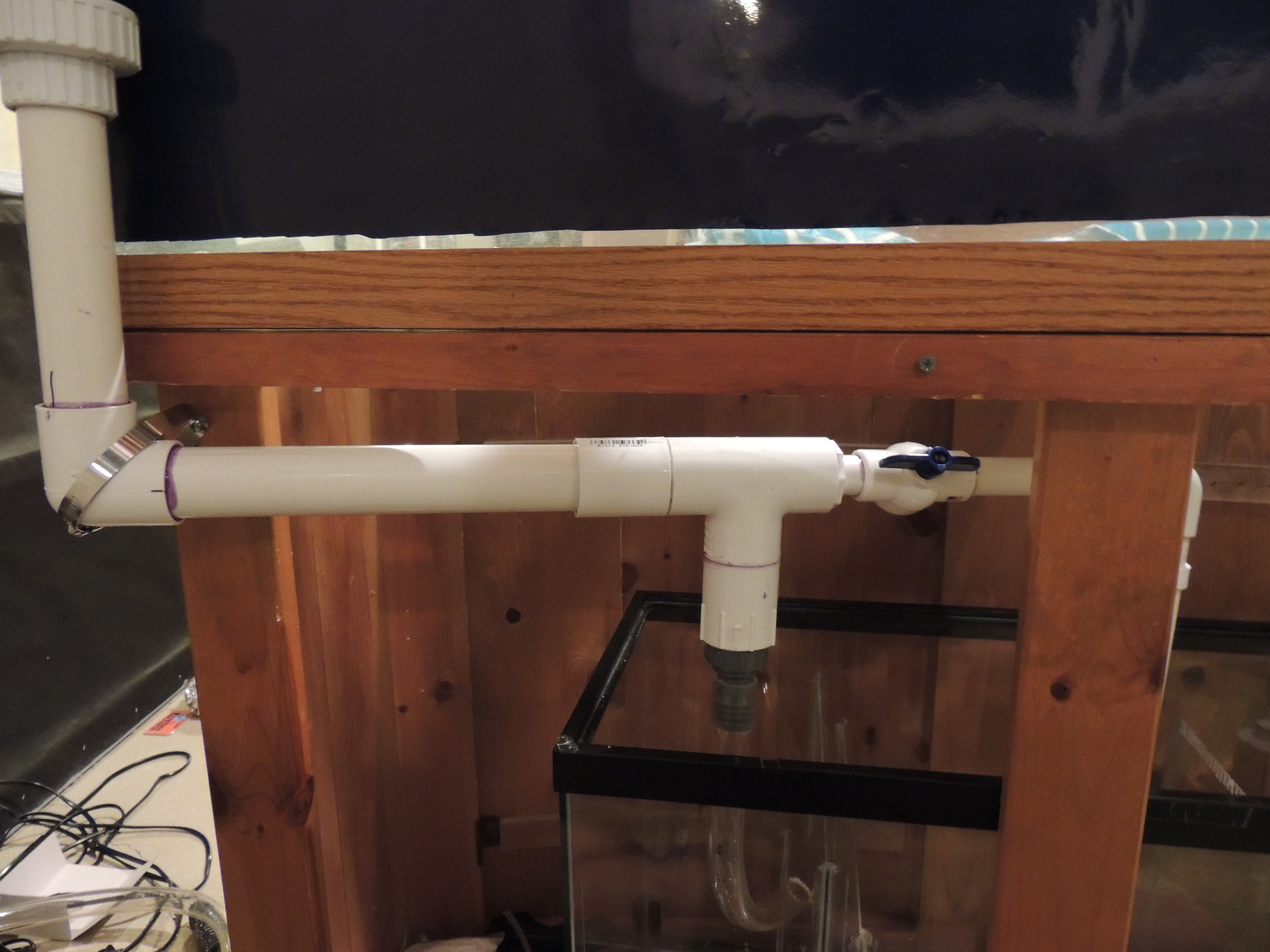72 gallon bowfront build Forums for Fish Lovers!