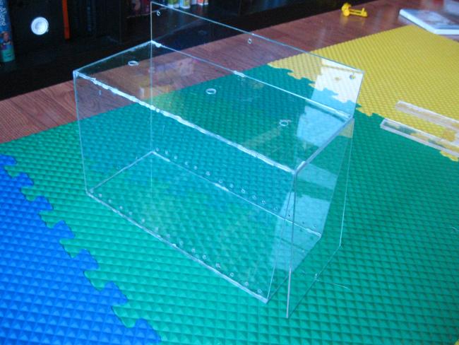 DIY Fish Trap Forums for Fish Lovers!