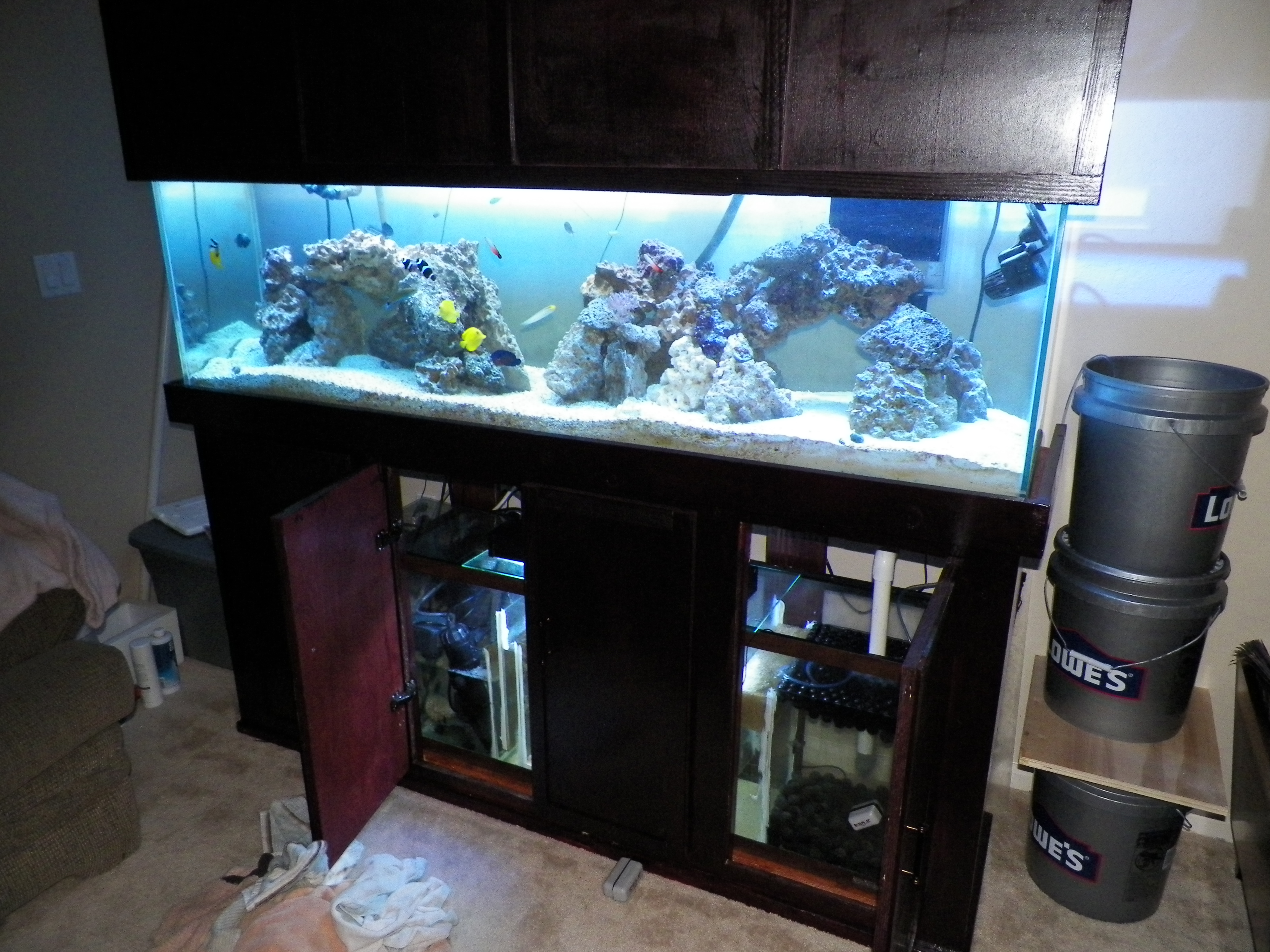 My 125 gallon Reef Tank Forums for Fish Lovers!