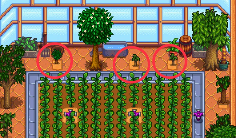 stardew valley planting trees in pots Leonia Durr