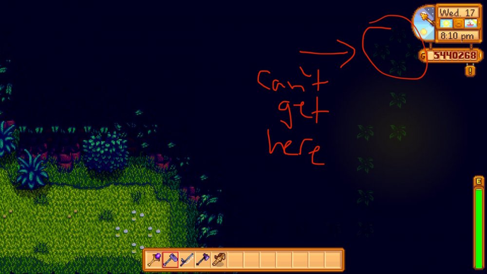 Switch - [HELP] Unable to get Hidden Path Golden Walnut | Stardew 