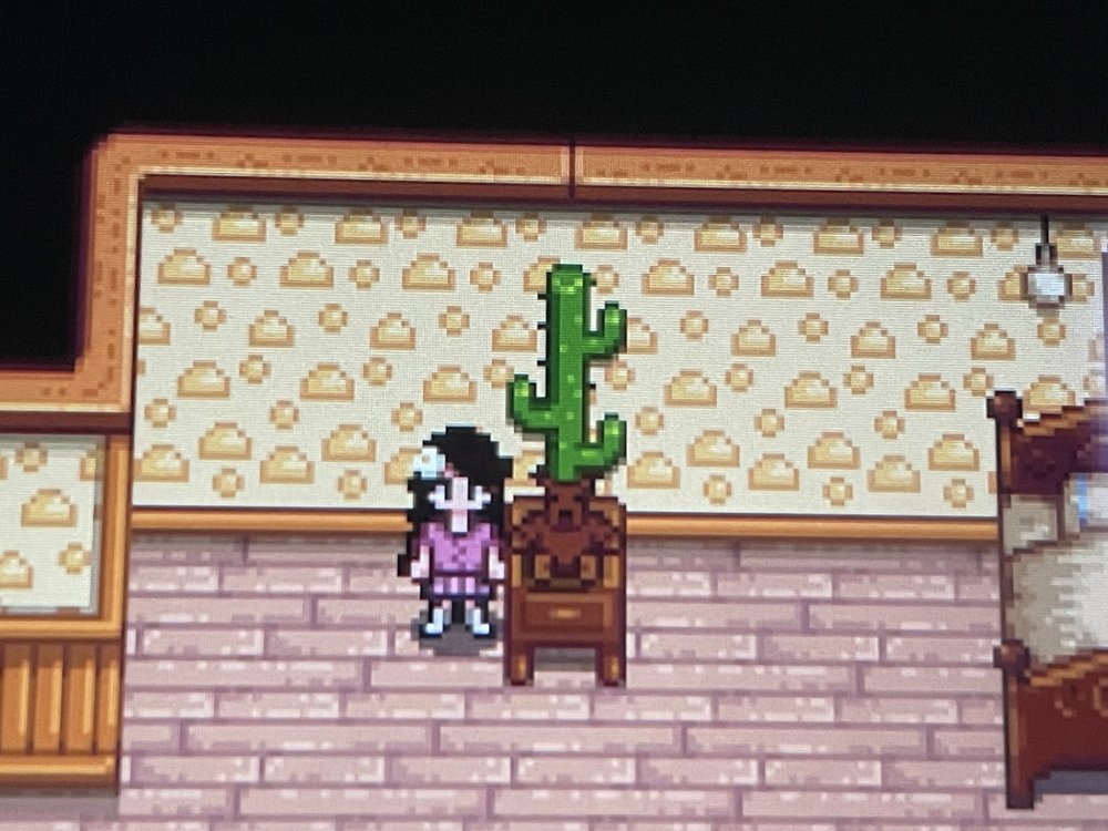 Switch i can’t remove furniture next to the crib. Stardew Valley Forums