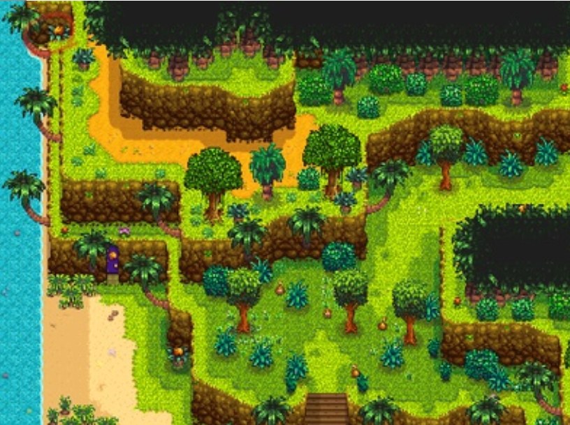 Switch - [BUG] Golden Walnut Bug? | Stardew Valley Forums