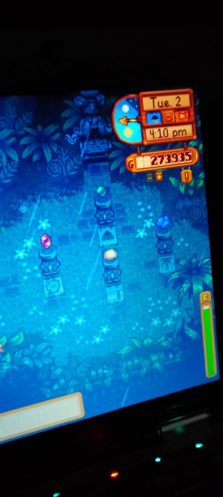 How to solve the jewel bird puzzle on ginger island? | Stardew Valley