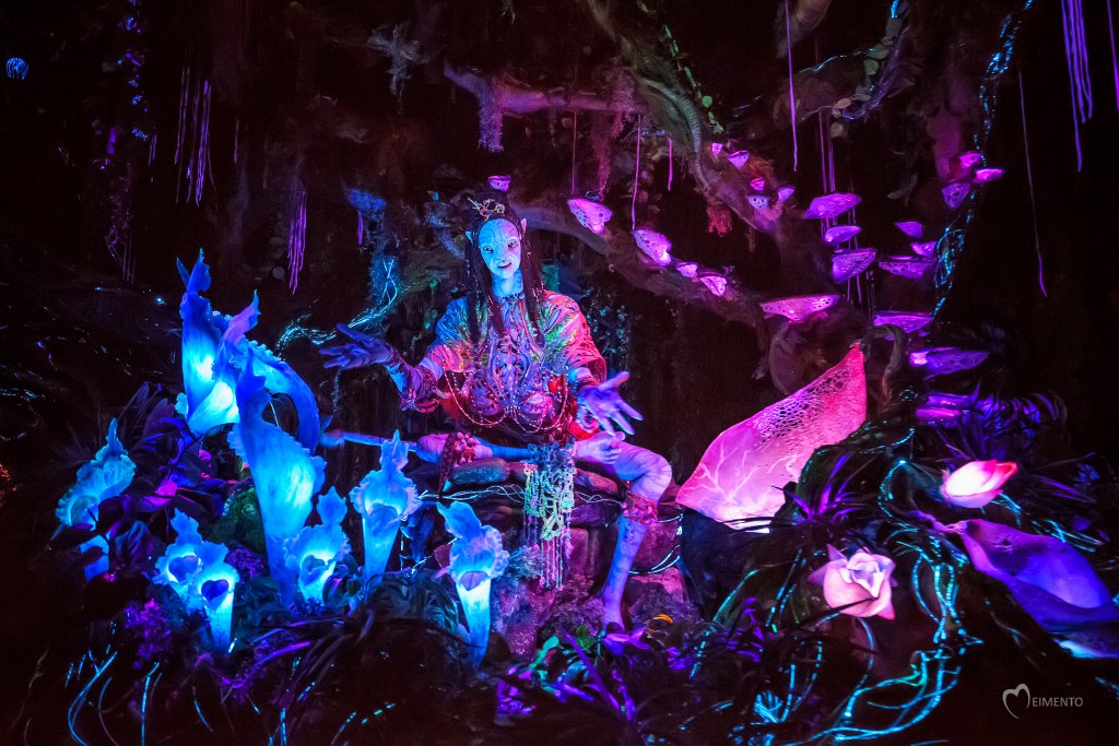 My review of the Na'vi River Journey ride WDWMAGIC Unofficial Walt