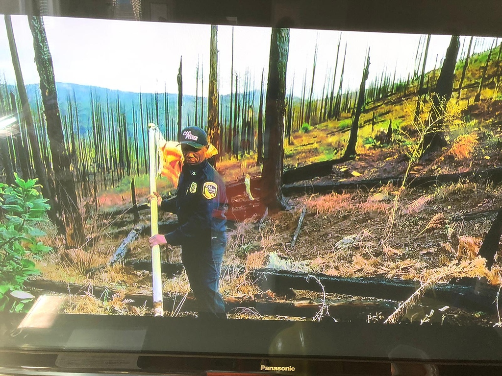 Wildland Community and the Superbowl General Discussion Wildfire Intel