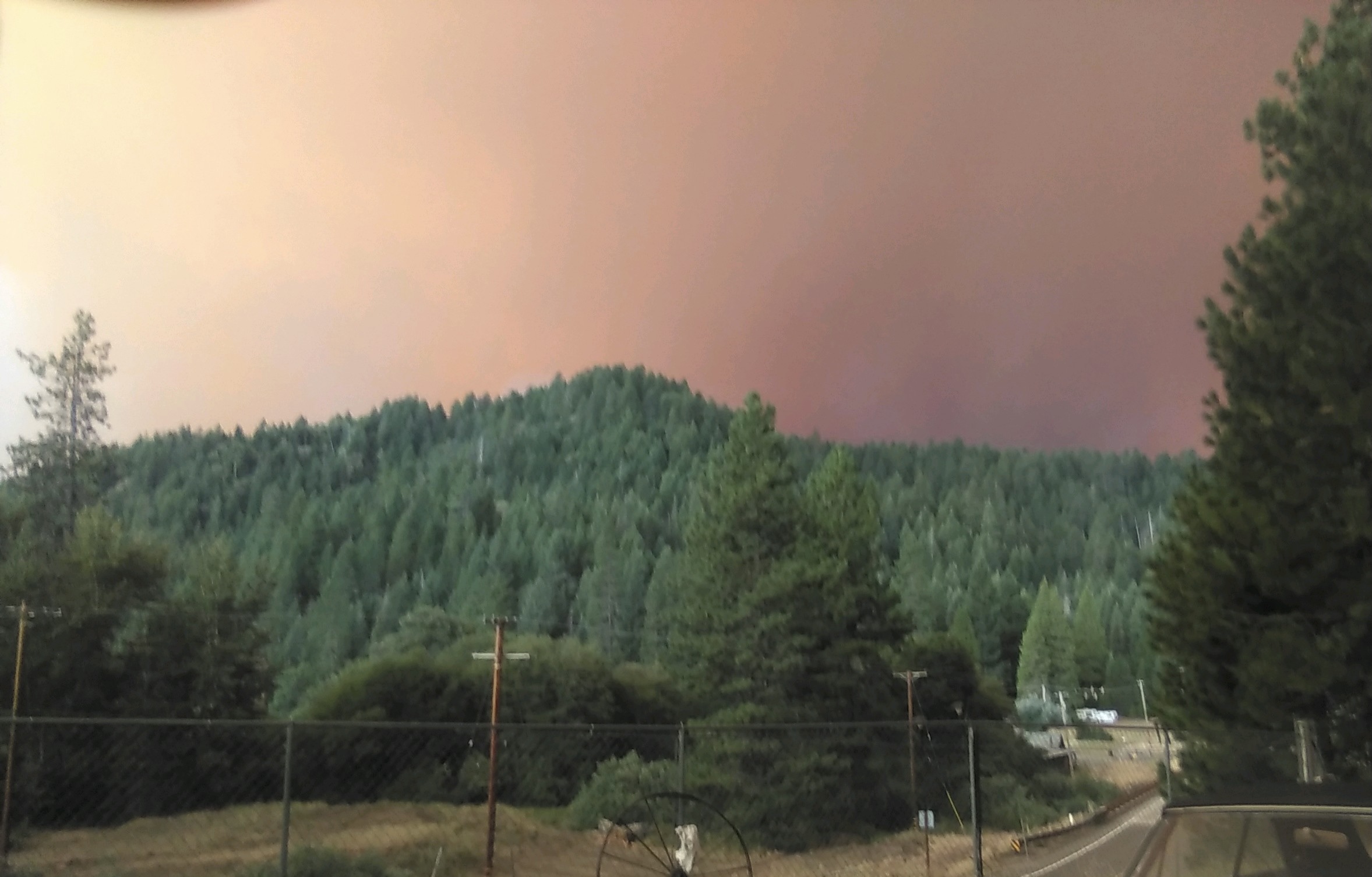 CASHFMcFarland?? Questions and Discussion Wildfire Intel