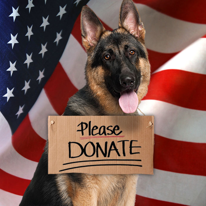 PTSD DOGS For Veterans Sake Foundation