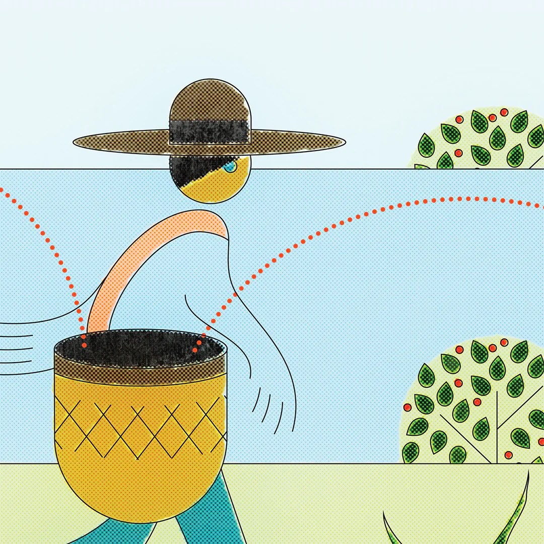 Product Forward Specialty Green Coffee Traders