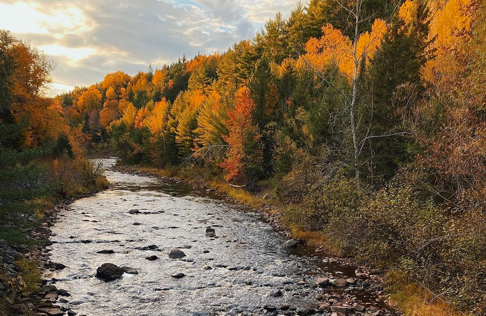 Best Spots to View Fall Colors in Wisconsin Forward Apparel Company™