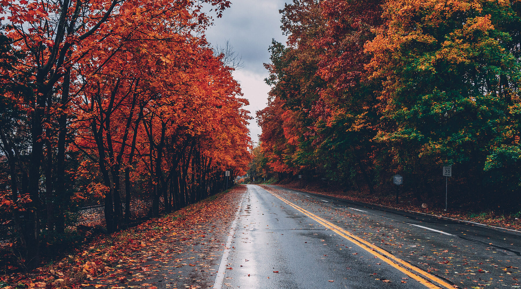 Best Spots to View Fall Colors in Wisconsin Forward Apparel Company™