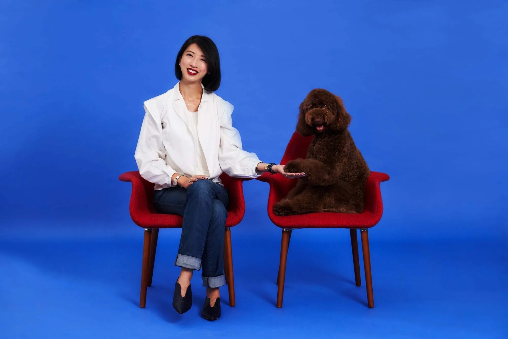 Delta Cargo Innovating Pet Safety and Comfort FORWARDER magazine