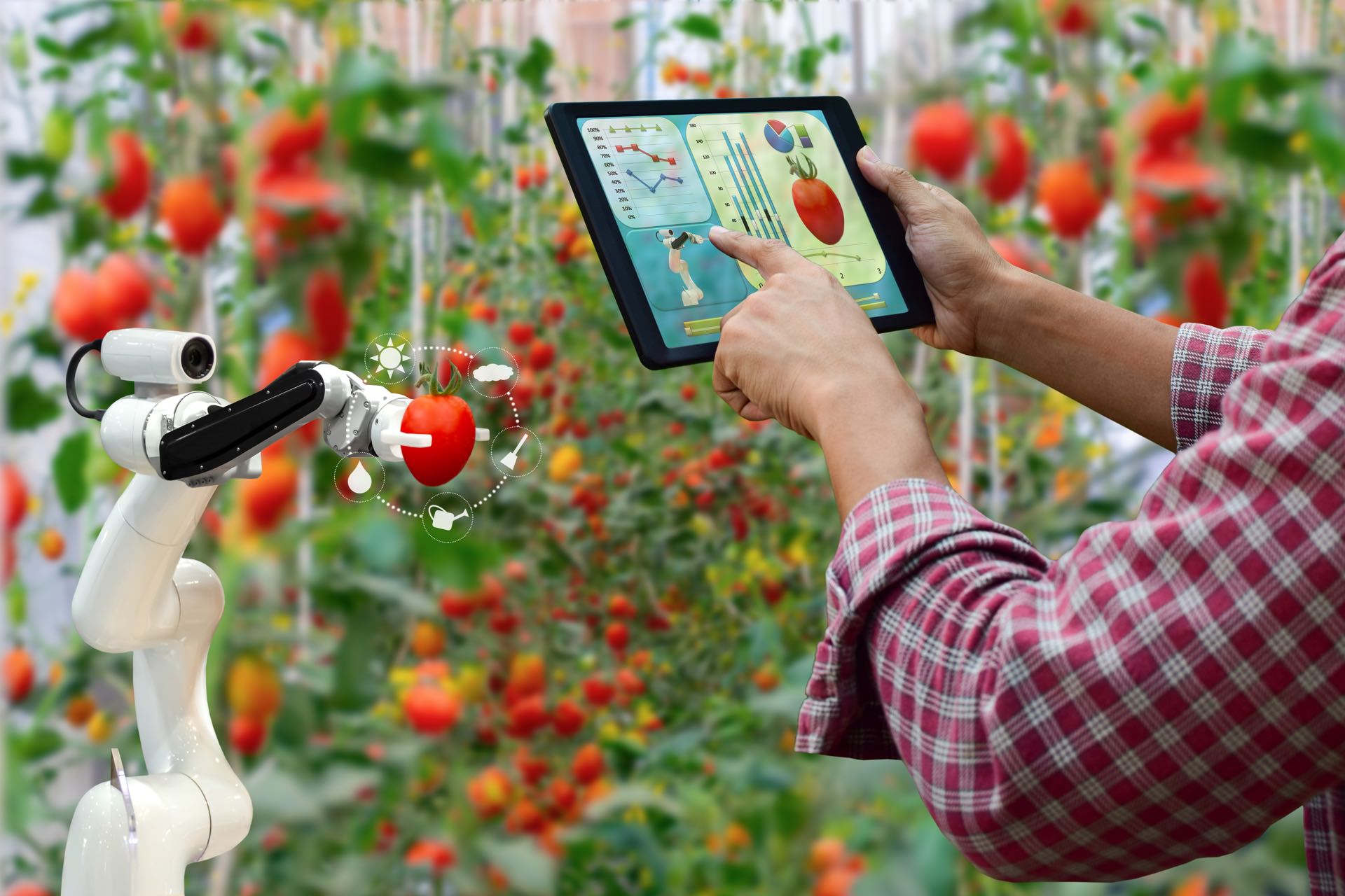 The Global Food Tech Map Discover the latest AgriFoodTech Innovation