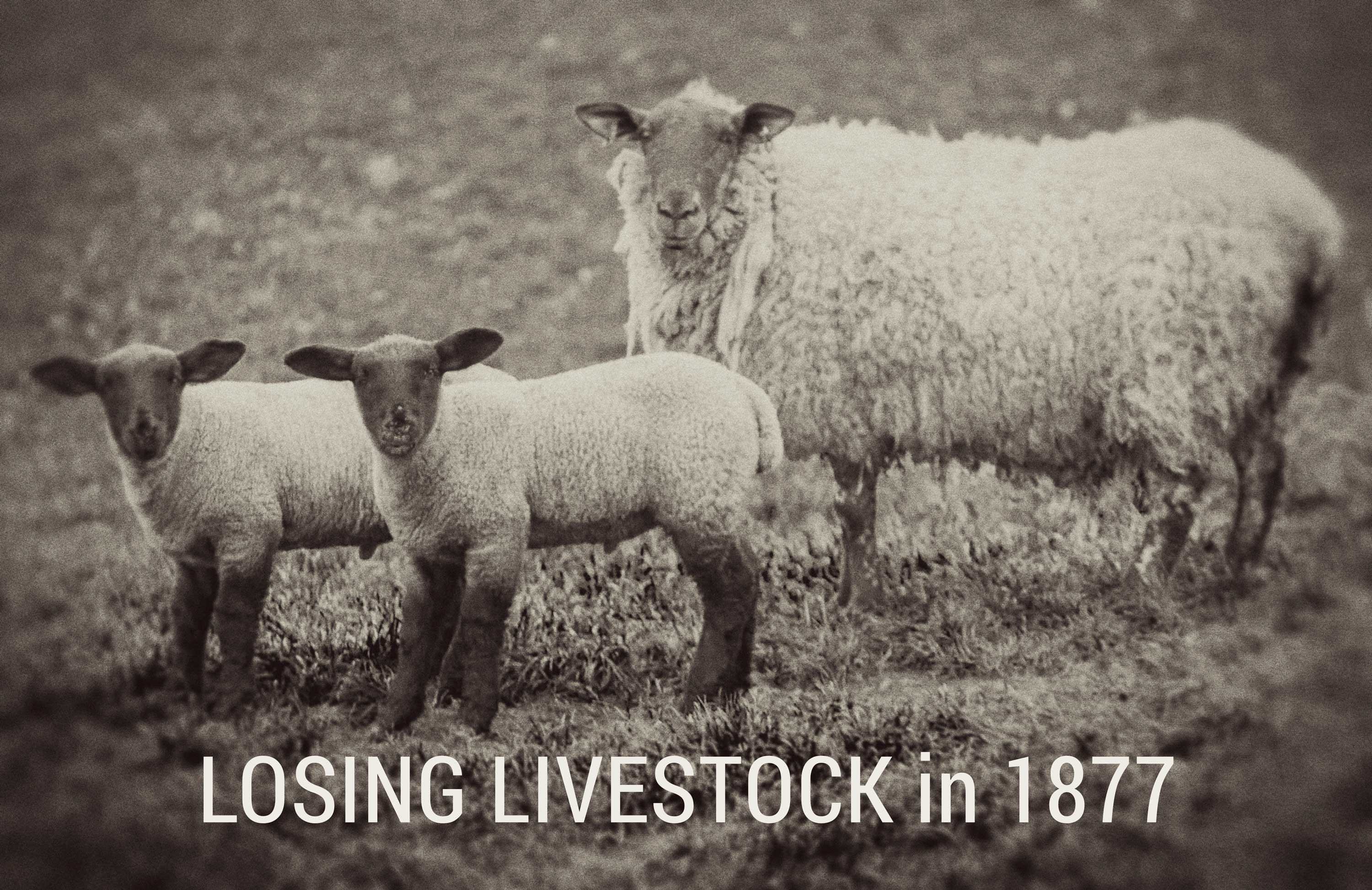 By the Minutes A Mutual’s First Claim