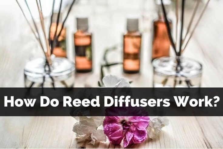 How Do Reed Diffusers Work? For Your Massage Needs