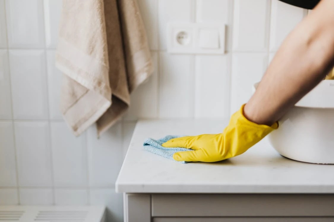 How to Clean Your House After Tapeworms