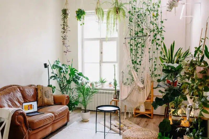 How To Arrange Plants In Living Room