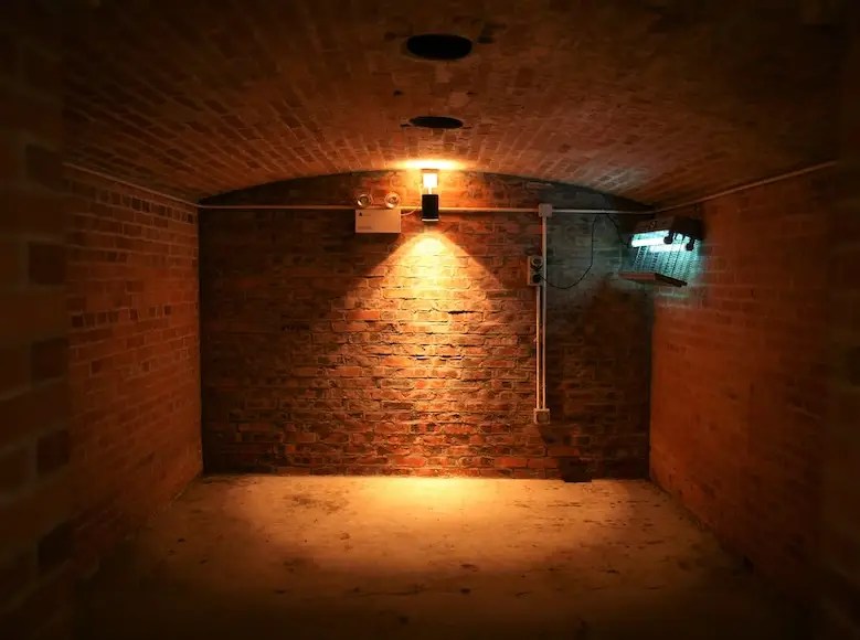 How to Effectively Get Rid of the Musty Smell in the Basement