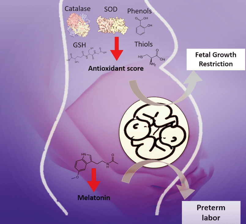FOSCH Research Group
