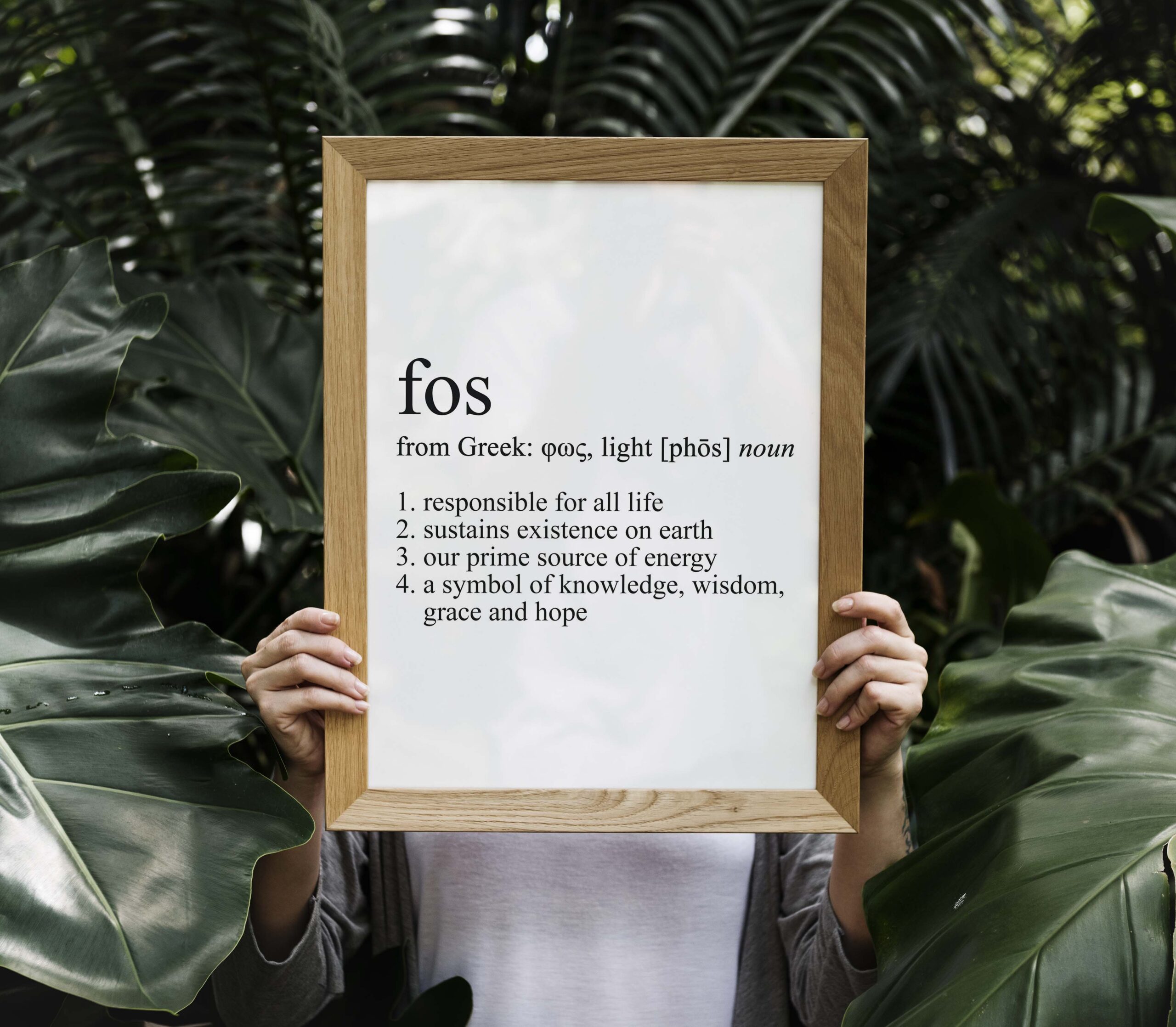 What on Earth Fos Market