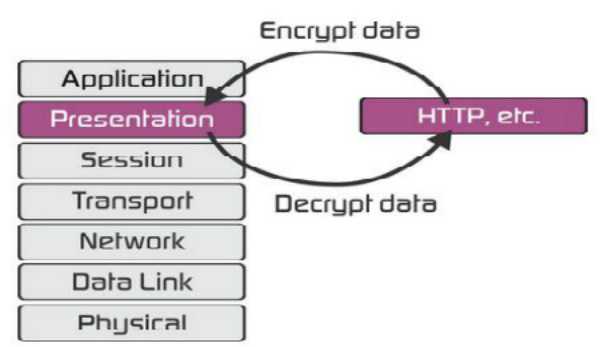 presentation layer osi networking model