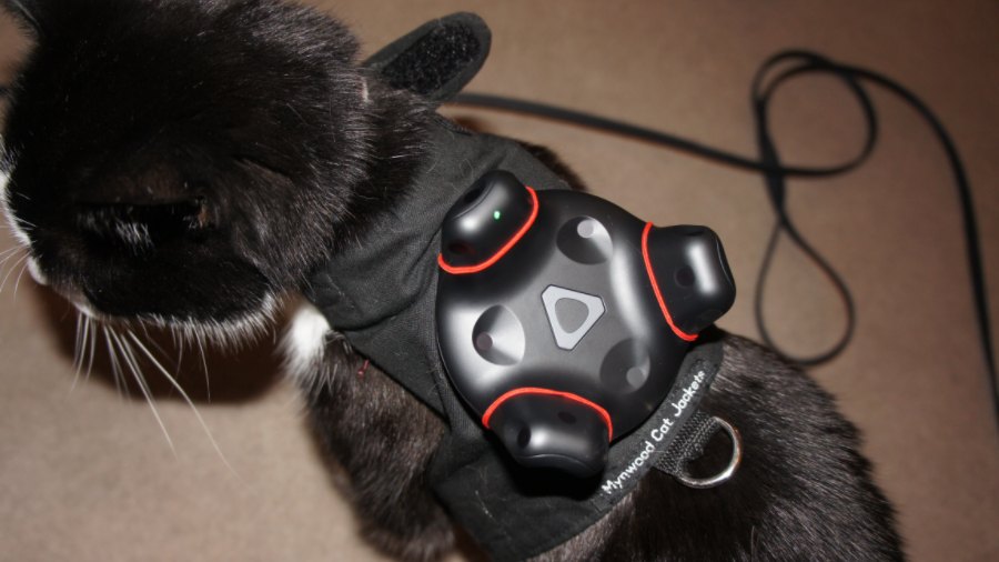 World's First Cat Wearing A VR Tracker, Now No One Ends Up Kicking Him