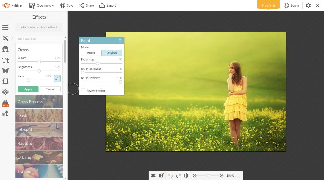 10 Best Free Online Alternatives To Edit Pictures