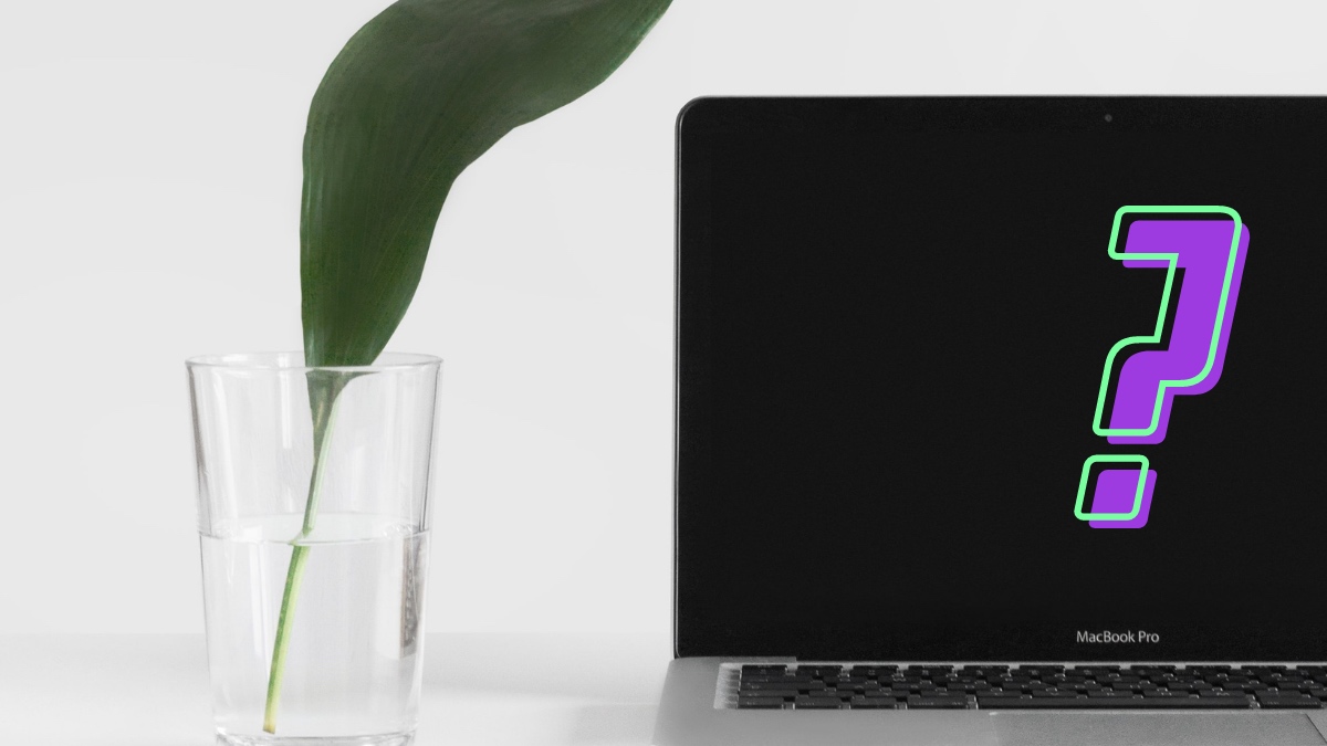 How To Check Your macOS Version & Update Mac?