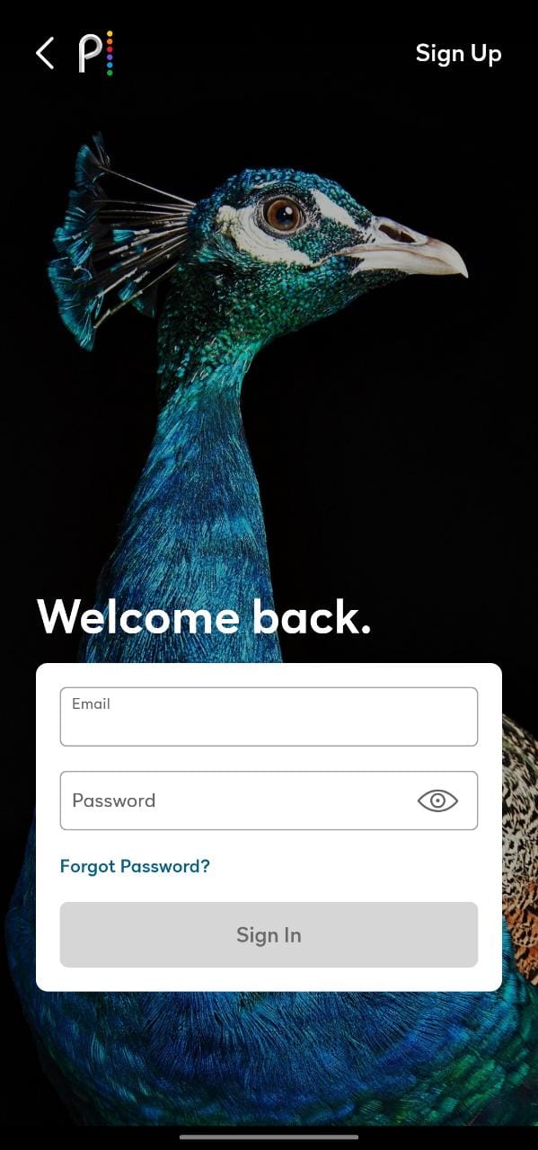 How To Delete A Peacock Profile Fossbytes