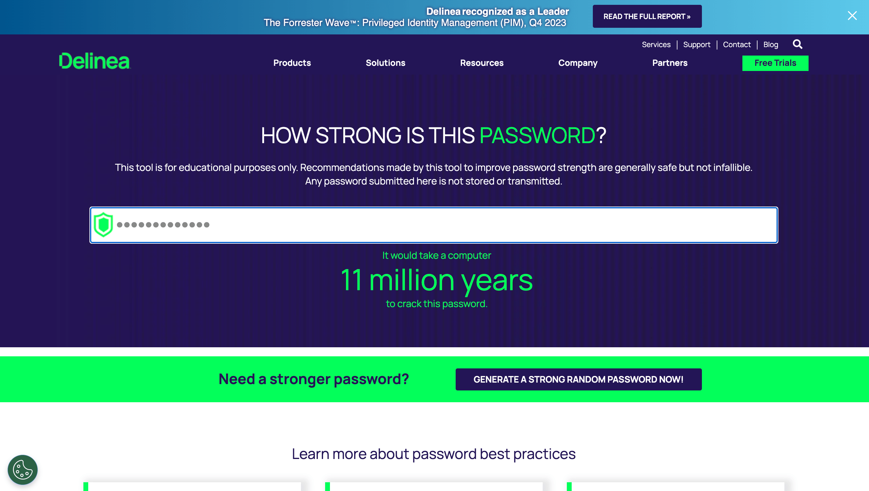 Delinea&rsquo;s result after checking the password