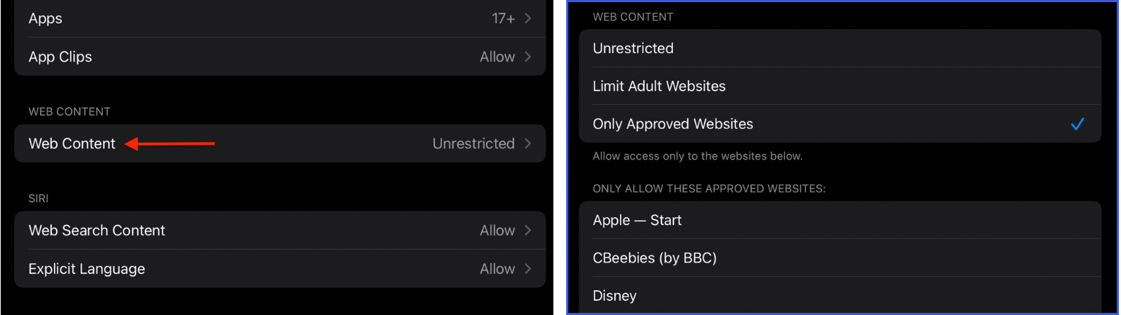 Image of the block websites settings in iOS