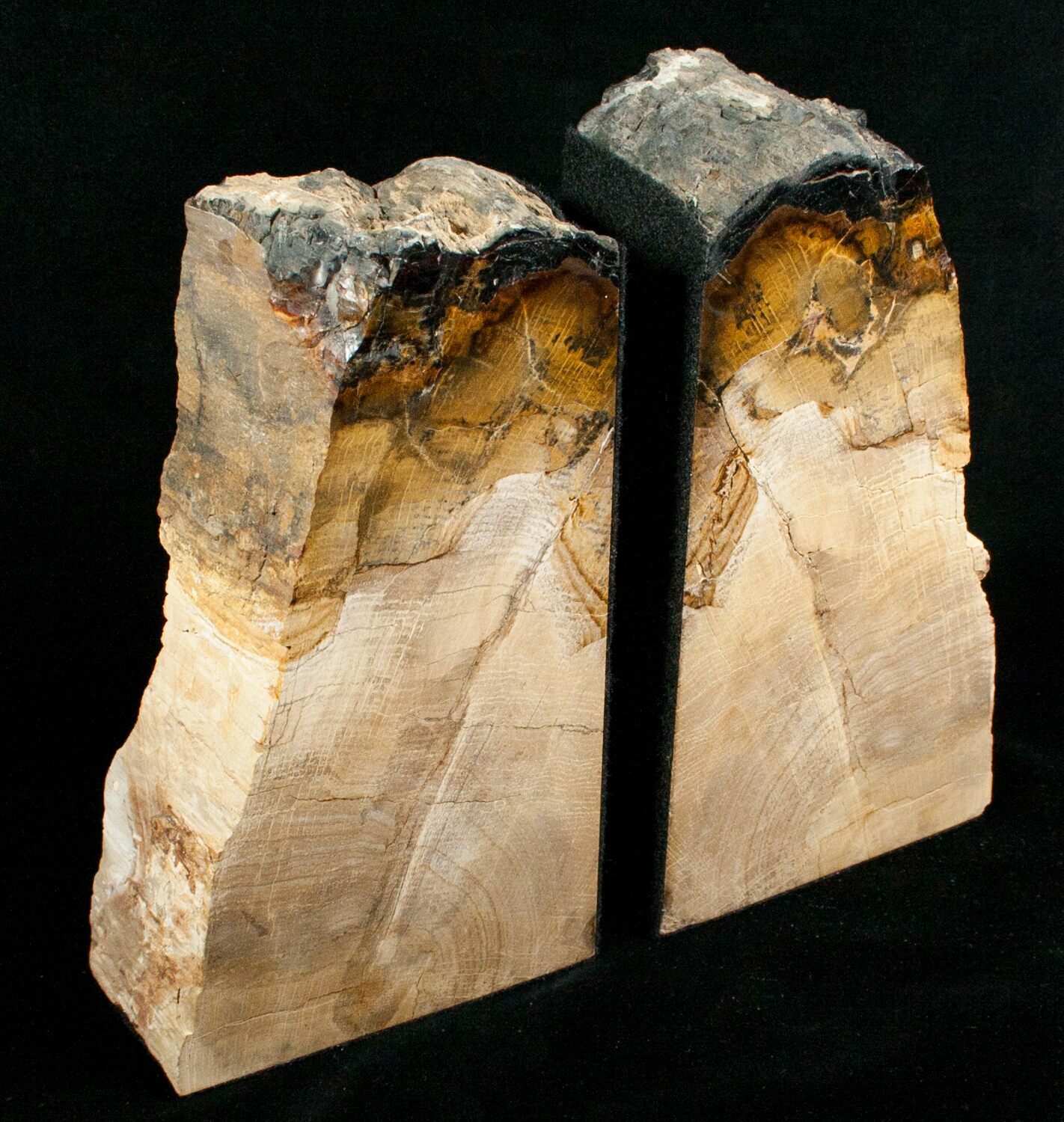 Oregon Petrified Wood Bookends Oak For Sale (5049)