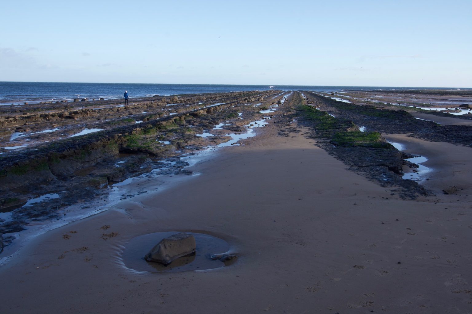 Redcar Rocks, responsibly FossilHub