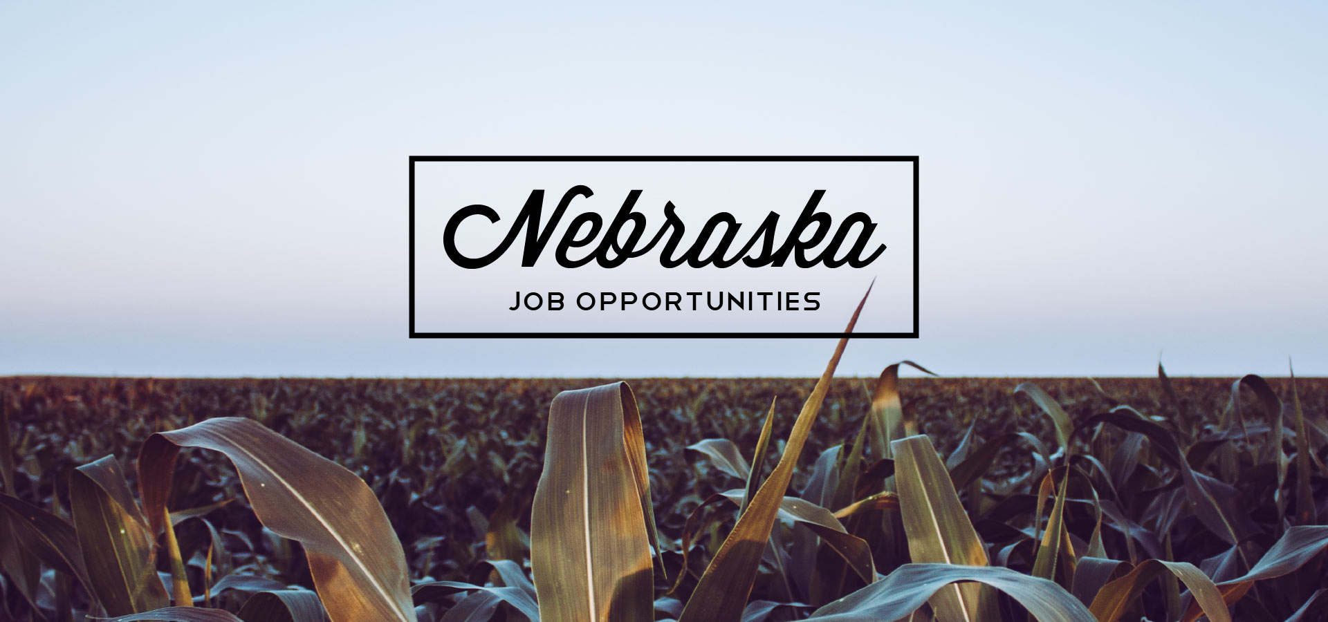 Nebraska Foster Crown