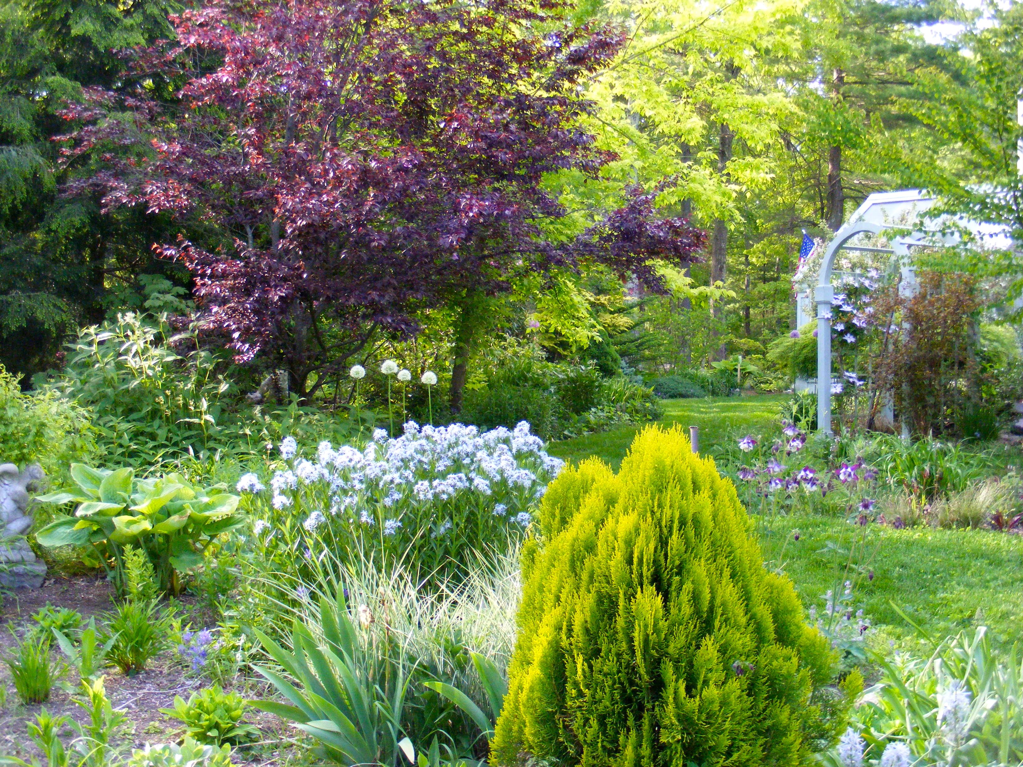 garden3jpg Libraries of Foster