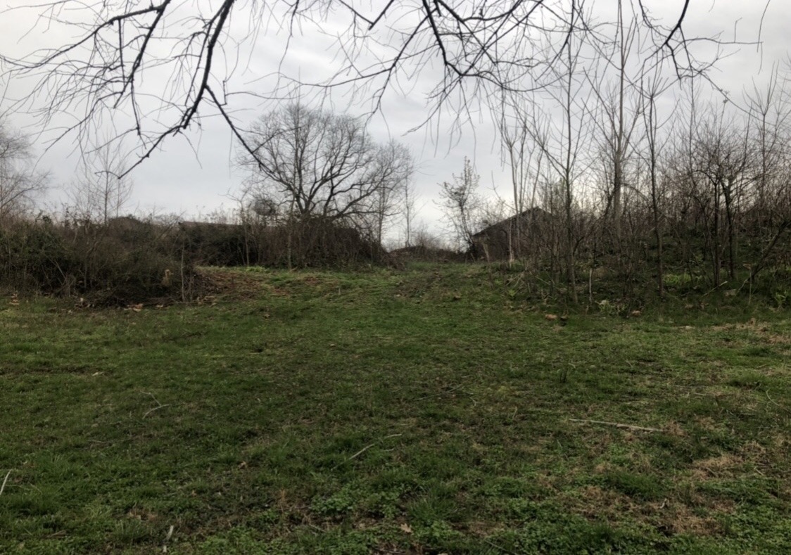 Portfolio Fosters Land Services