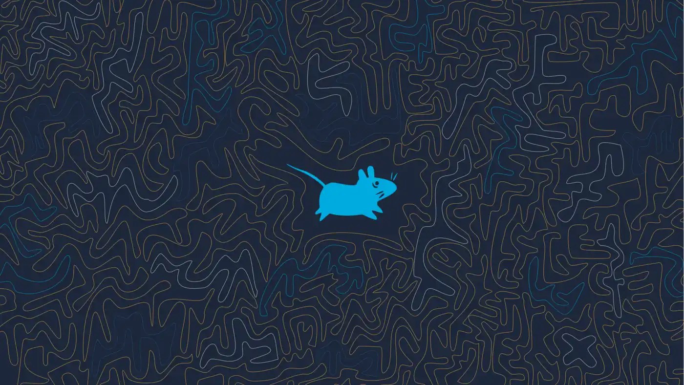 Thư viện 800 Xfce desktop background image location Vô cùng đa dạng và