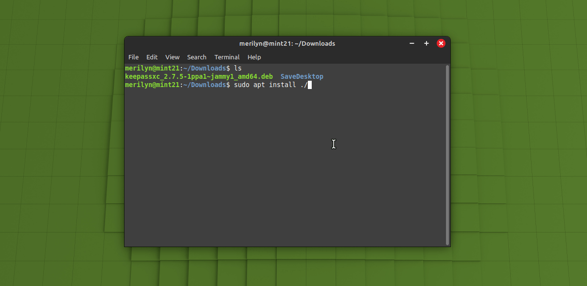 Enable Apt Command Tab for File/PATH in Linux Mint 22