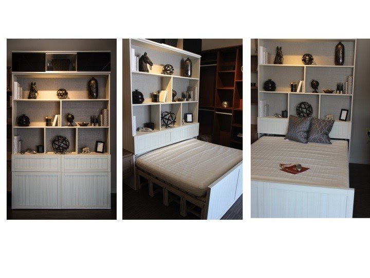 Queen Pull Out Bed Ideas on Foter