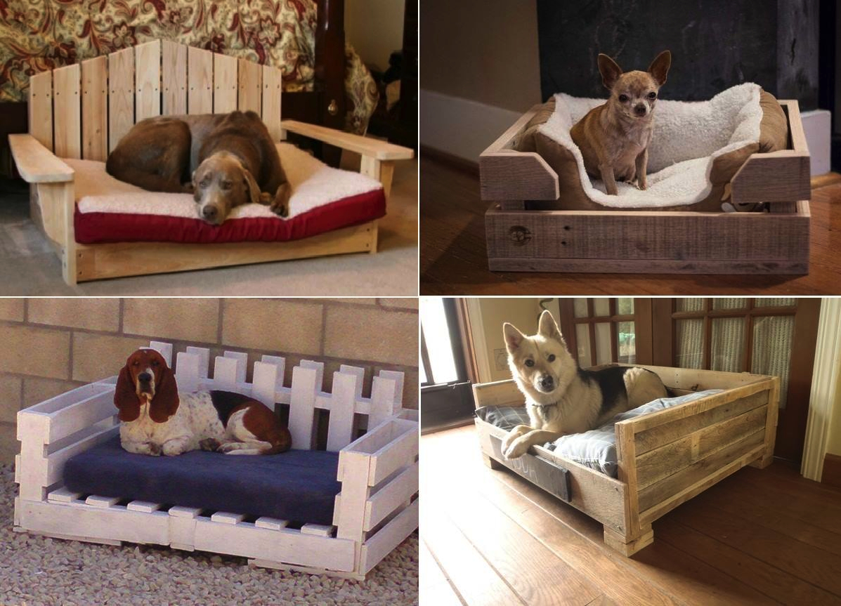 Dog Bed Frame Ideas on Foter