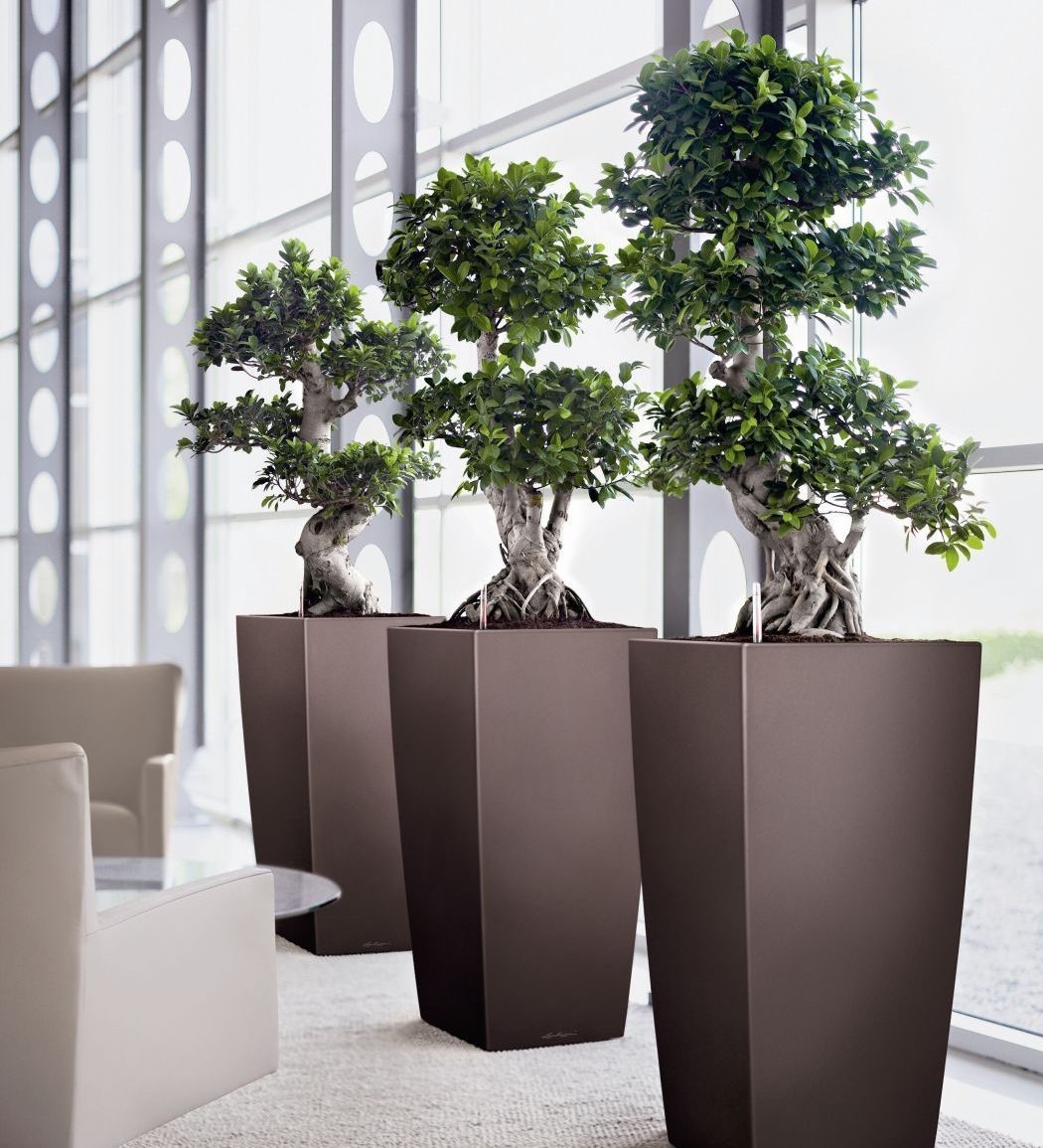 Extra large Indoor Planters for Trees Foter