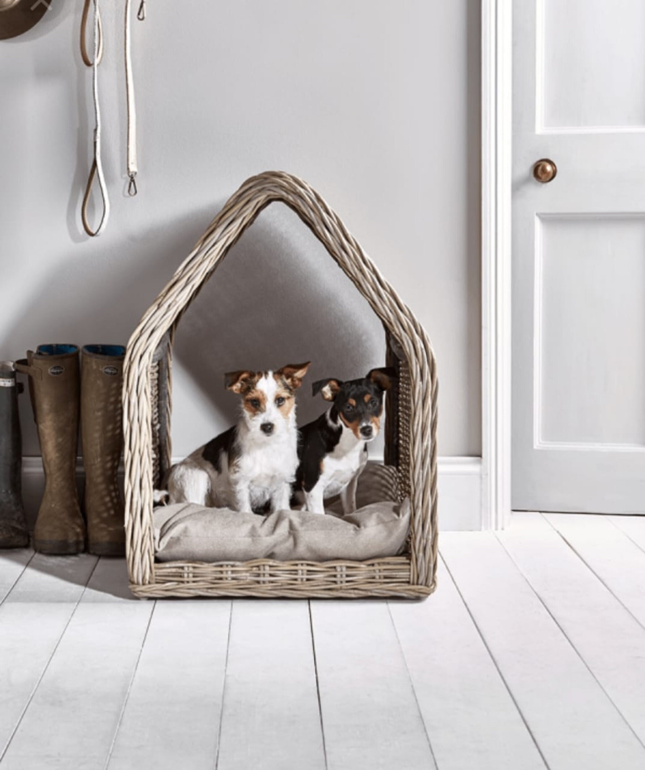 How to Choose a Hooded/Dome Dog Bed Foter