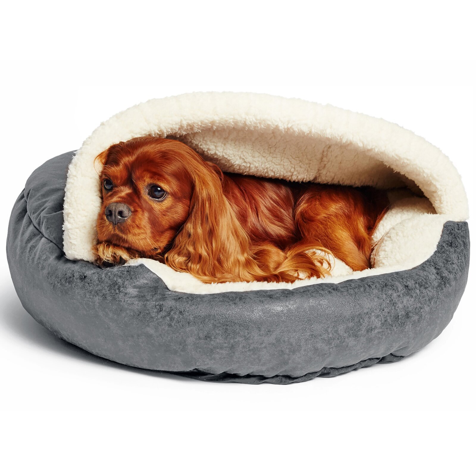 Covered Dog Bed Foter