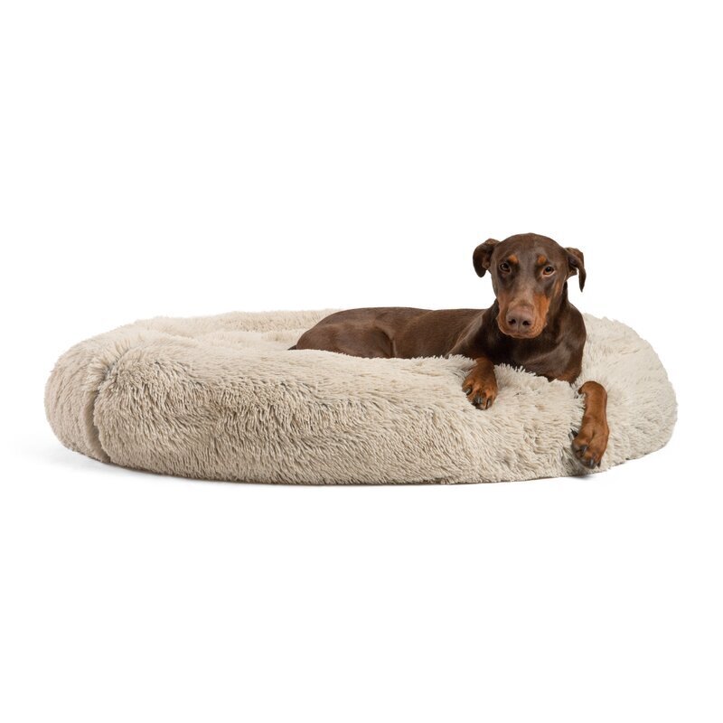 Unique Dog Beds Foter