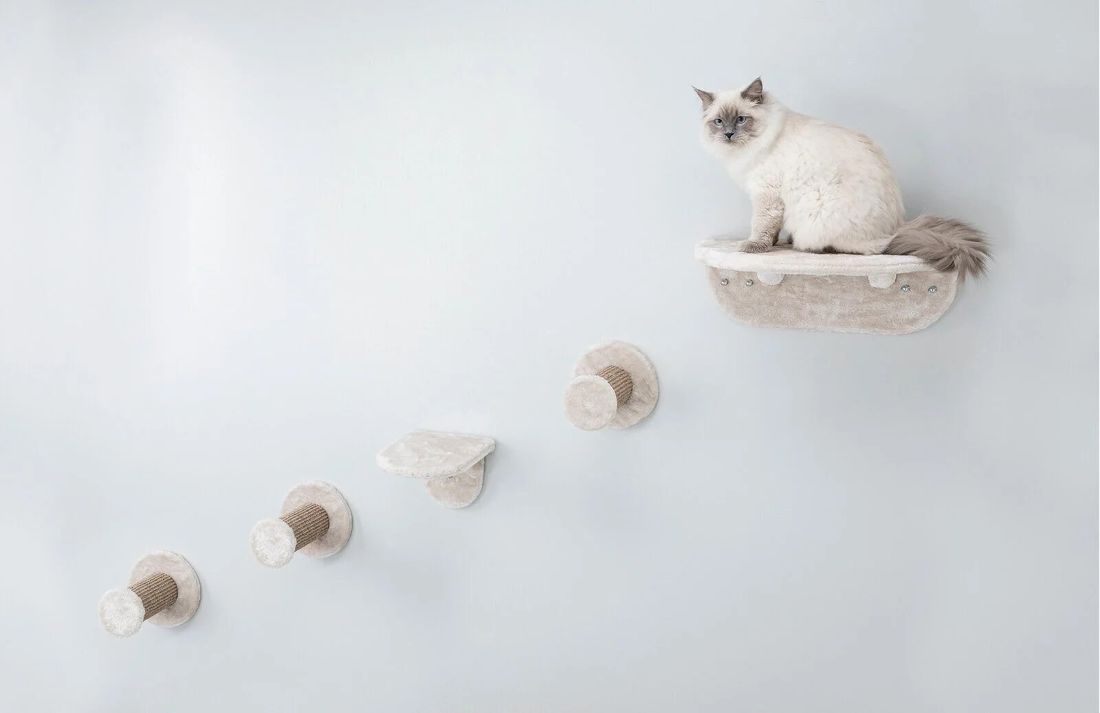 Sisal Cat Tree Ideas on Foter