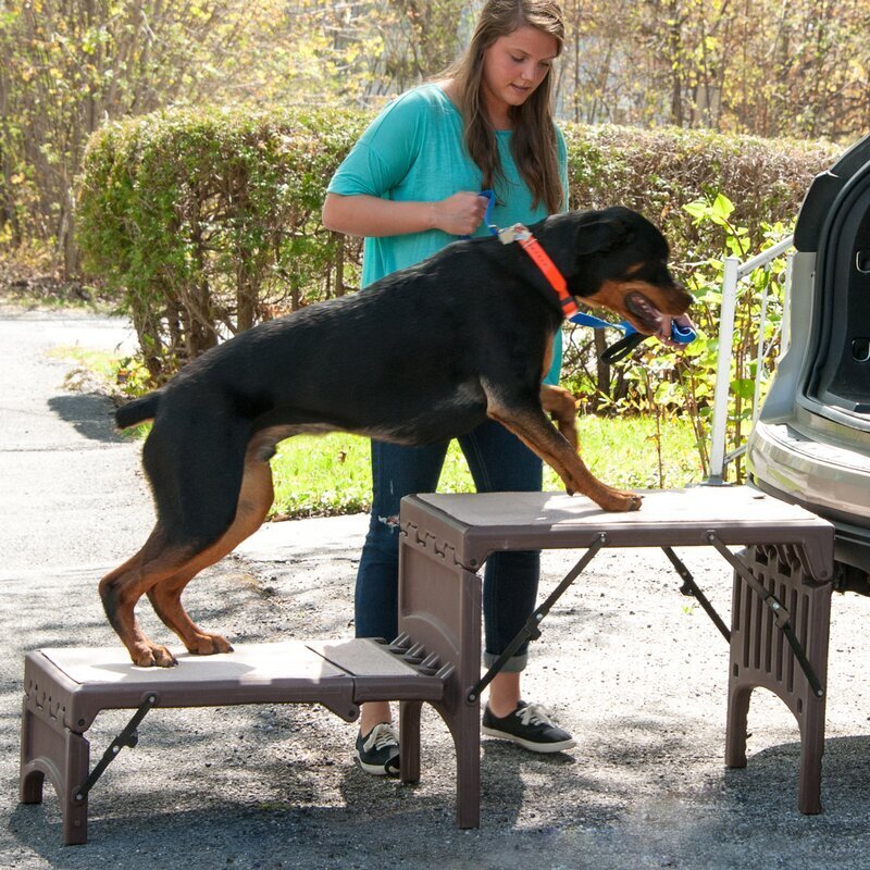Dog Stairs For Large Dogs Foter