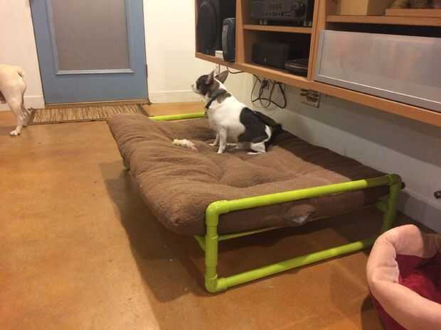 Tubo de PVC levantó la cama del perro / Paso 7 Añadir perros