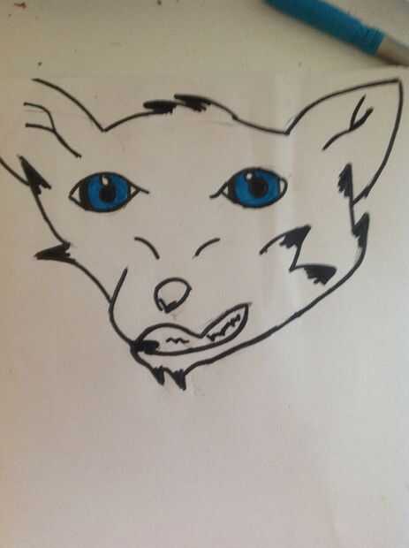 Dibujar Un Lobo Cartoon 1 Askix Com